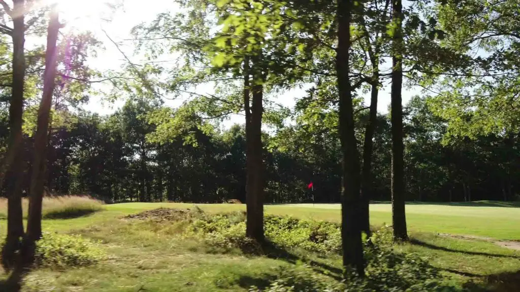 ArborLinks.00_00_38_16.Still019-2